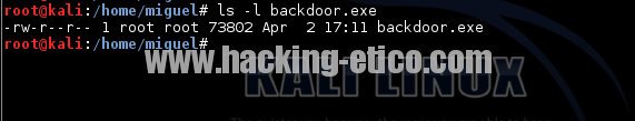 Backdoor creado con Metasploit