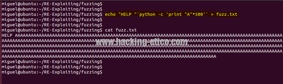 Fuzzing - Python