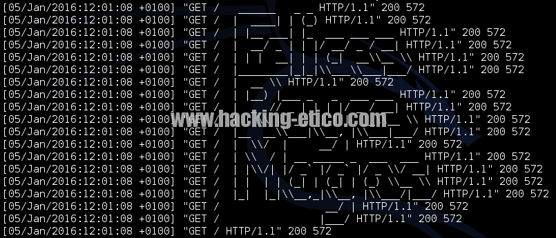 ASCII Art en logs de servidor Web