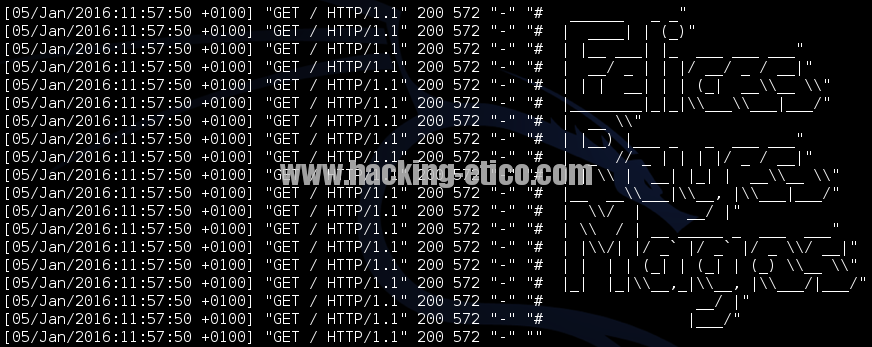 ASCII Art en logs de servidor Web